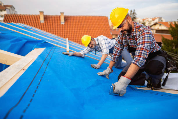 Best Commercial Roofing Services  in Woodbine, IA