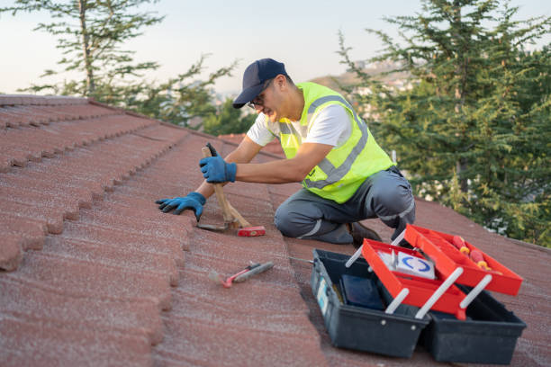 Best Roof Waterproofing Services  in Woodbine, IA