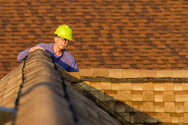 Best Best Roofing Contractors  in Woodbine, IA