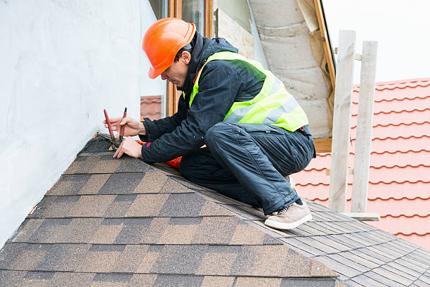 Best Roof Maintenance Services  in Woodbine, IA